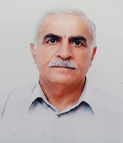 Firdovsi Qasımov