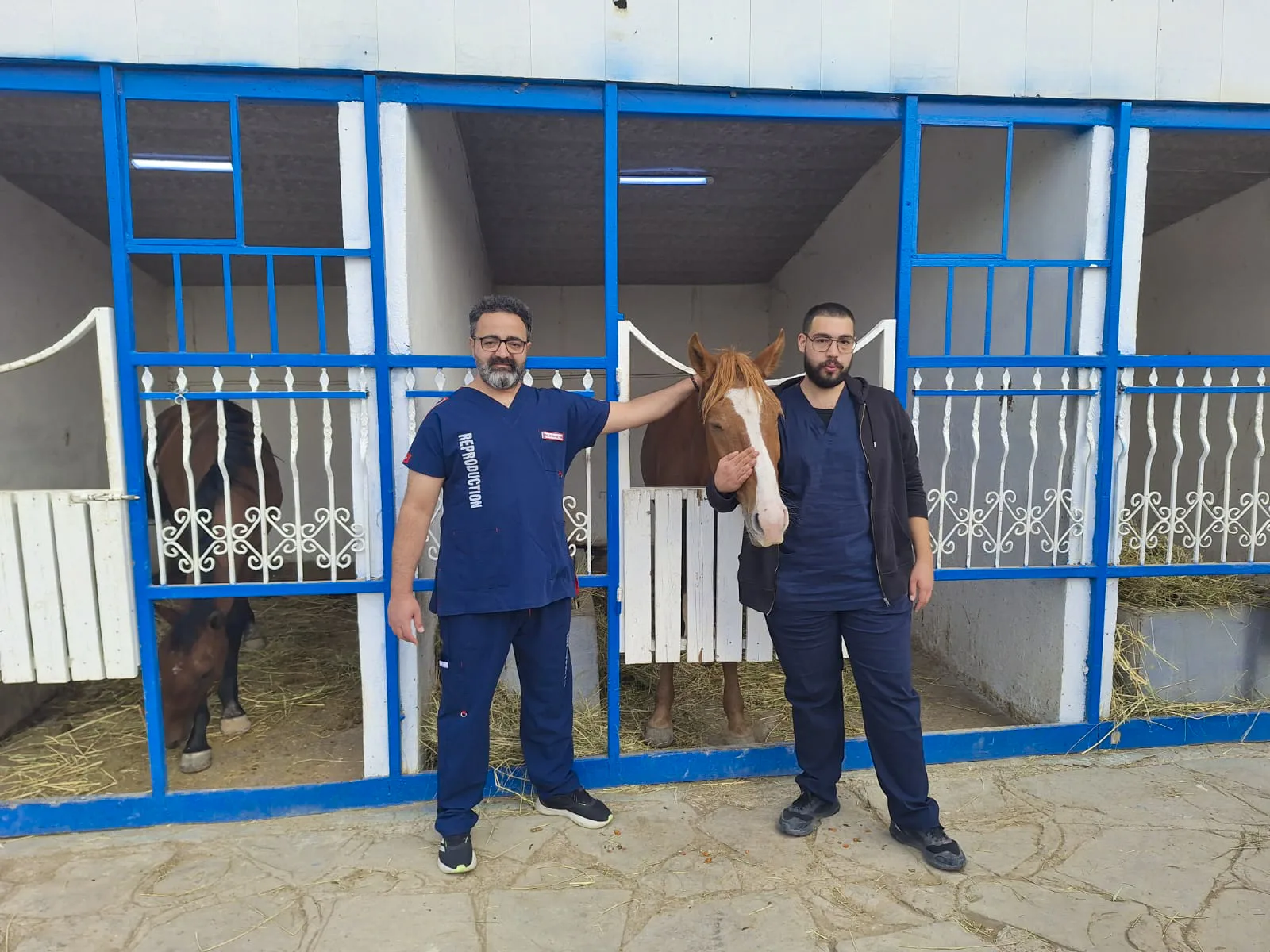 Xəbər şəkli 2