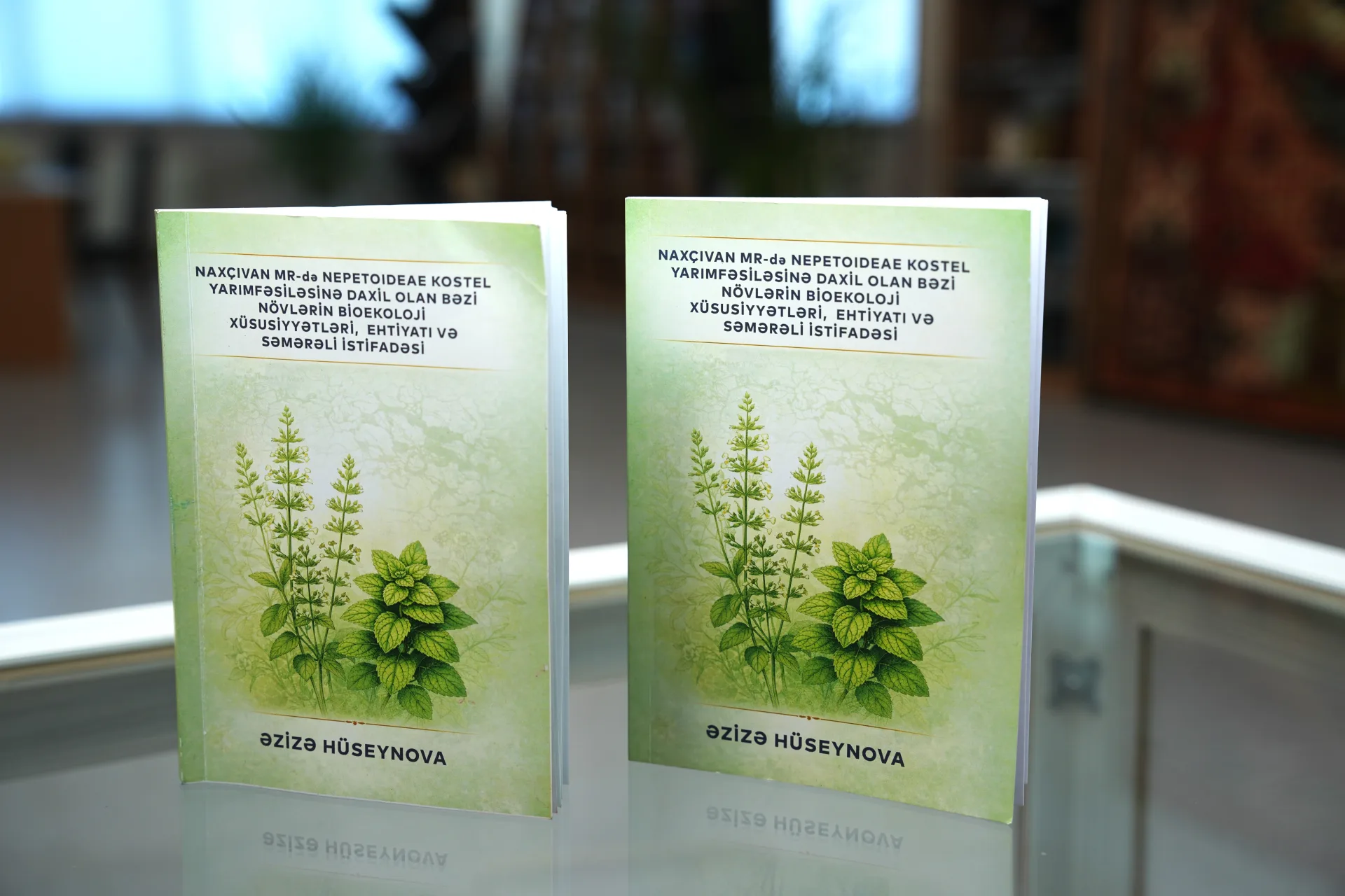 A new monograph has been presented at the Scientific Library of NSU
