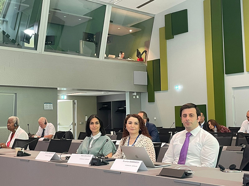 Naxçıvan Dövlət Universitetinin müəllimi Aidə Cəlilzadə Strazburqda Avropa Şurası Konqresinin Cari Məsələlər Komitəsinin iclasında iştirak edib Naxçıvan Dövlət Universitetinin müəllimi Aidə Cəlilzadə Strazburqda Avropa Şurası Konqresinin Cari Məsələlər Komitəsinin iclasında iştirak edib